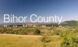 Judetul Bihor