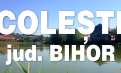 Printre dealuri si doline